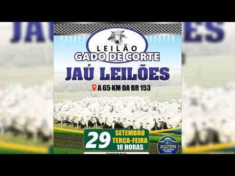 LEILÃO GADO DE CORTE  - JAU LEILÕES  - JAU DO TOCANTINS  - 29 / 09 / 2026