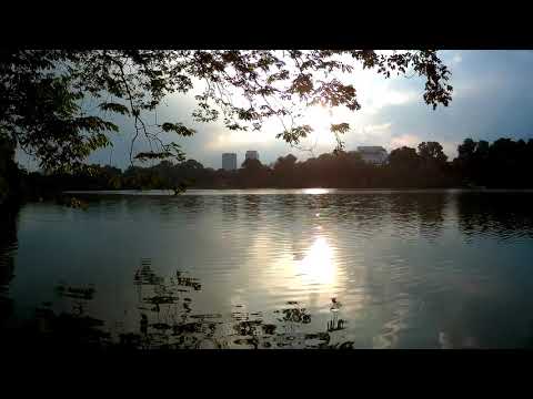 An afternoon in Hanoi before COVID