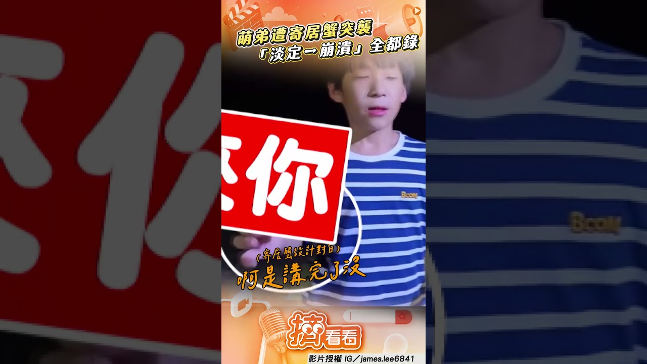 影音/萌弟認真拍片介紹寄居蟹 下秒遭突襲崩潰求救