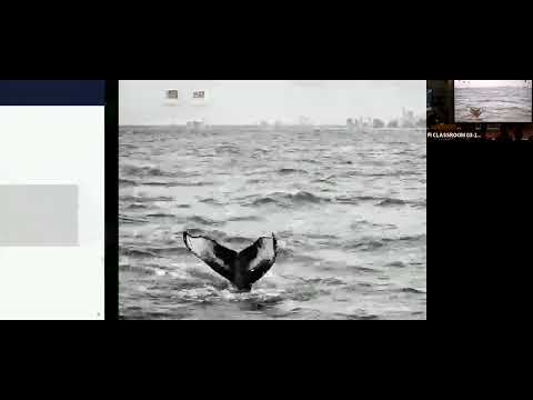 Antoine Chambert Loir: Doing Elementary Number Theory in Lean, Talk 1 (June 16, 2025)