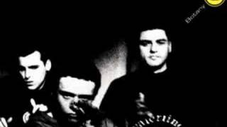 Botany 5 - Nature Boy (7 Inch Mix) (Audio)