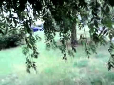 Śmieszne  Wiadomosci cz.2/2