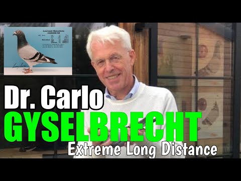 Dr. CARLO GYSELBRECHT - "Laureaat Dynasty" International Barcelona Winner and Breeder