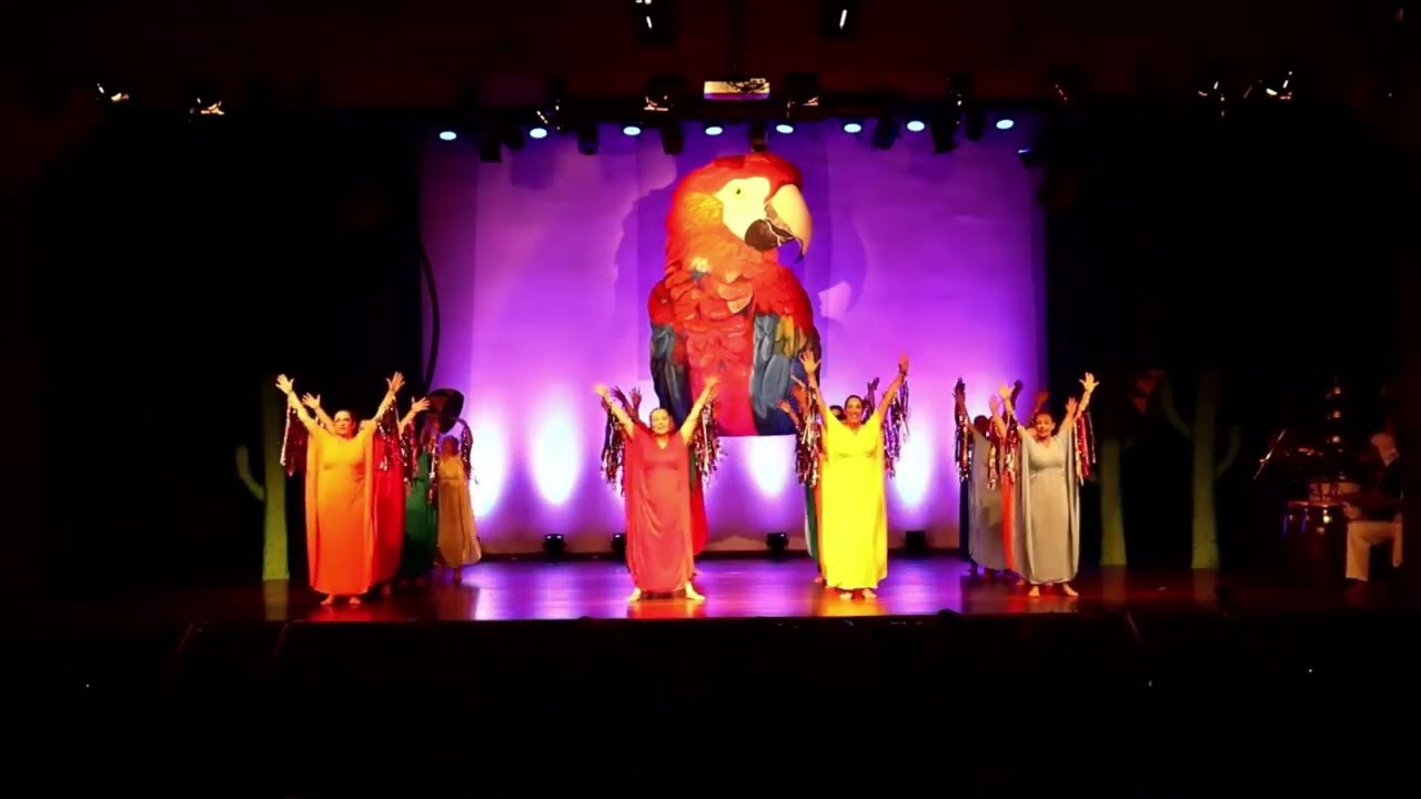 RECONVEXO- Espetáculo Cia Rhytmus in Corpus