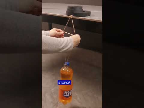 А вы знали такое?🧐 #shorts #shortvideo #топ #рекомендации #рек