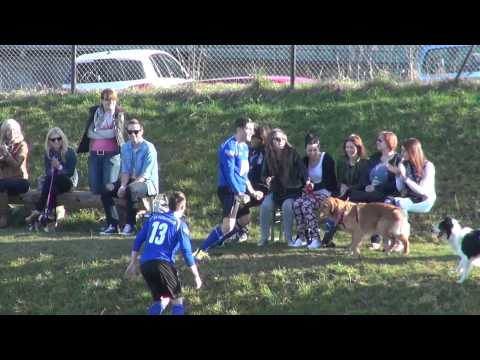 140309 / SV Völkersbach - SG Stupferich / 2:1