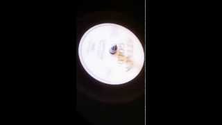 RONNIE DAVIS ~ Jahoviah + KING TUBBY ~ Dub (Every Rasta Is A Star, B Side)