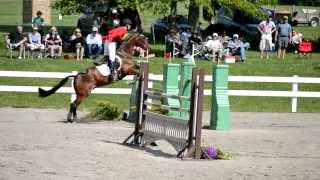 Video af Blithe Hill Riddle Master