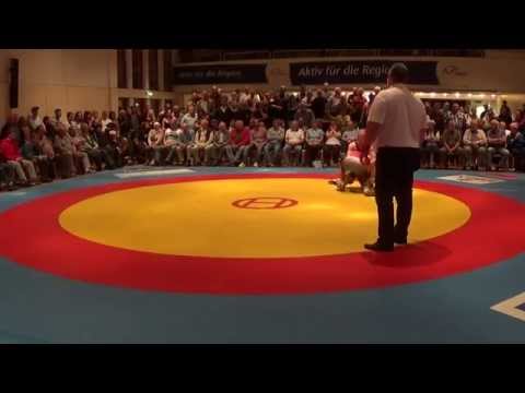 66kg Freistil: Jens Steiniger -  Sebastian Belz 4:0 (ASV Schaafheim - ASV Dieburg 32:4)