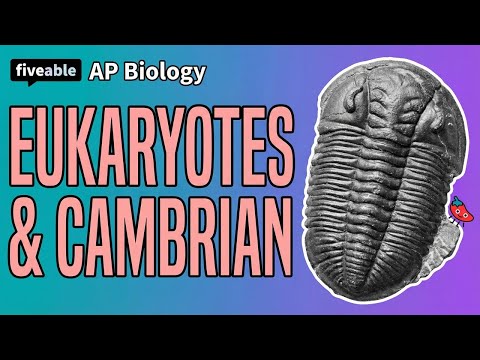 AP Biology - Unit 7: Endosymbiosis & Cambrian Explosion