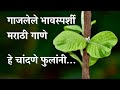 गाजलेले भावस्पर्शी मराठी गाणे हे चां�