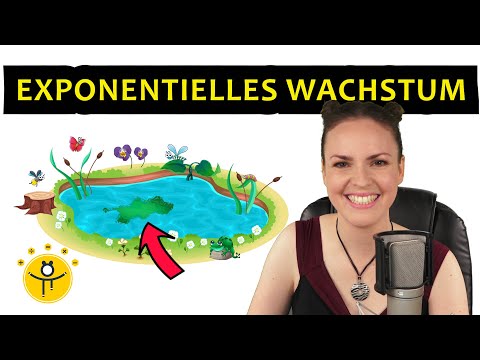 EXPONENTIELLES Wachstum – Textaufgaben Algen