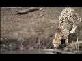 Nayak Nahi Khalnayak Hu Mai Watsapp Status Motivational Status Tiger Khalnayak Shorts