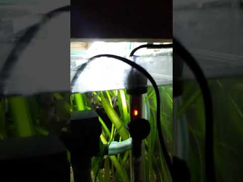 Filtro de placa conectado a filtro casero