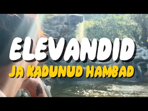 Elevandid ja kadunud hambad