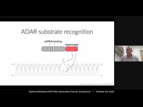 RNA editing with CRISPR-Cas13