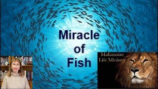 "Miracle of Fish" Ps. Stella Roco - Mahanaim Life Ministry