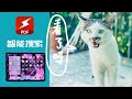 【中英字幕】运用PDF Search 提高学习效率//Use PDF Search to improve learning efficiency 【中英字幕】运用PDF Search 提高学习效率//Use PDF Search to improve learning efficiency