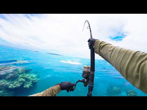 JE Wilds - Fishing and Briggsy Sport Fishing