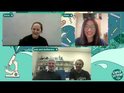 [Science Scribbler Q&A and Classify] Synapse Safari Results!