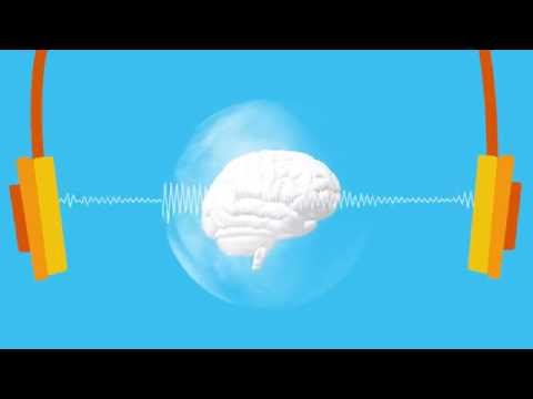 The Science Behind Zen12