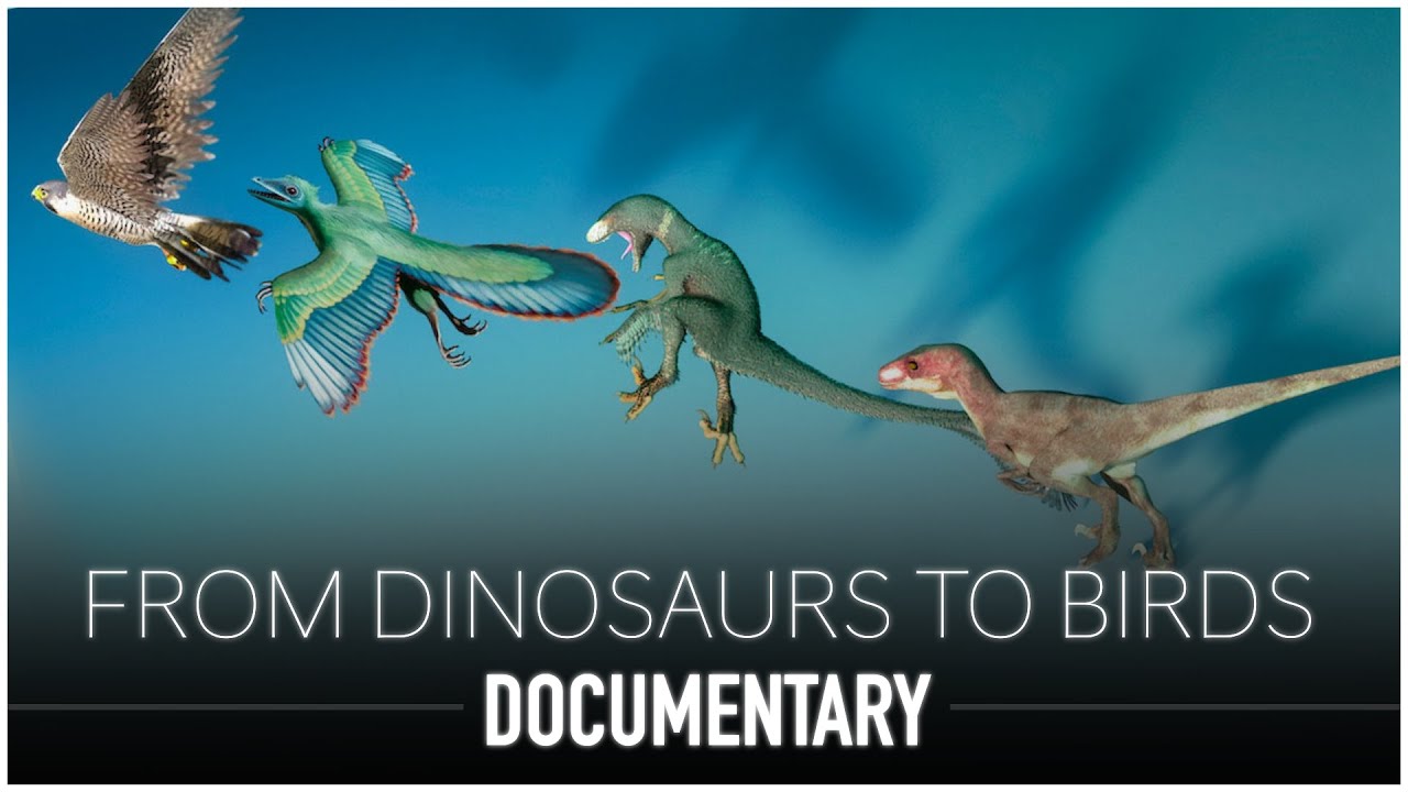 From Dinosaurs to Birds: The Remarkable Evolutionary Journey Unveiled | Dinosaur Documentary