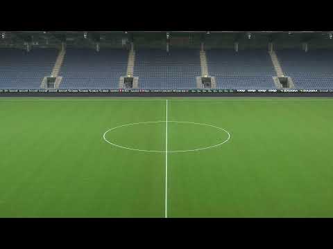 Viking FK vs Vard G19