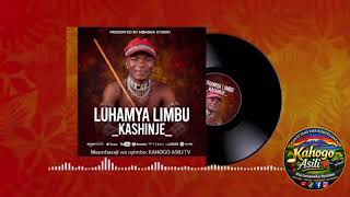 LUHAMYA KASHINJE Official Music Msambazaji Bry video library 2026