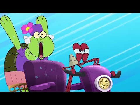 Express Delivery | The Adventures of Bernie | Zig & Sharko - Cartoons for Kids