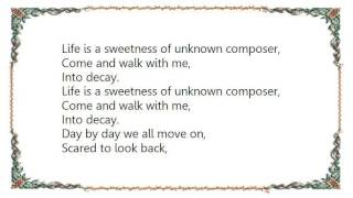 Diary of Dreams - Mask of Shame Lyrics