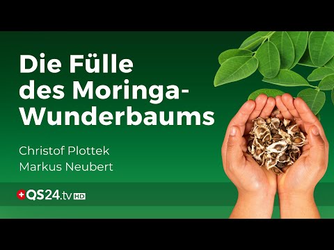 Mit Moringasamen zur idealen Nährstoffversorgung | Naturmedizin | QS24 Gesundheitsfernsehen