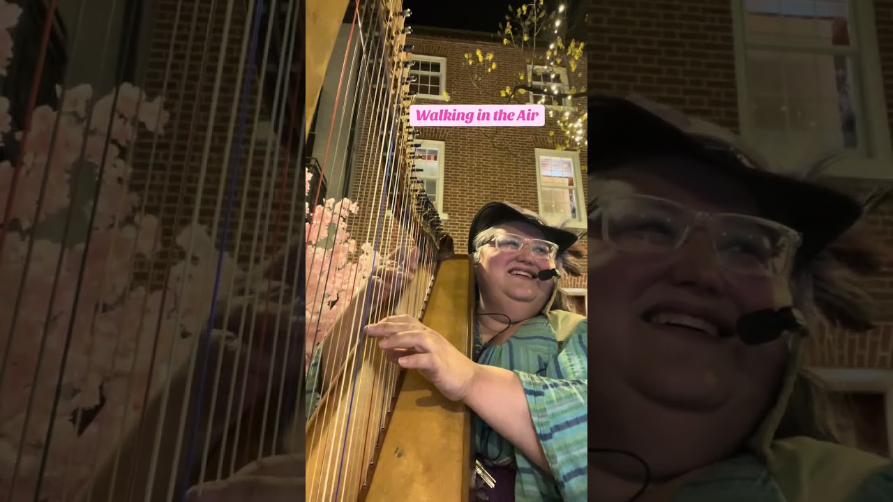 Promotional video thumbnail 1 for Rose the Harper