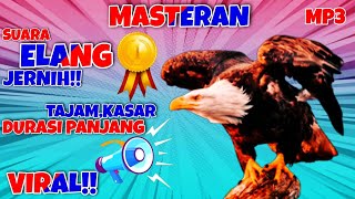 Download lagu 🔴Masteran Suara Burung Elang Jernih Kencang!! | Durasi Panjang 3 jam jeda 3 detik MP3 #suaraelangMP3 mp3