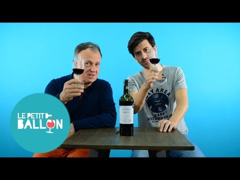 Bronzinelle Vieilles Vignes 2015 // Dégustation Le Petit Ballon