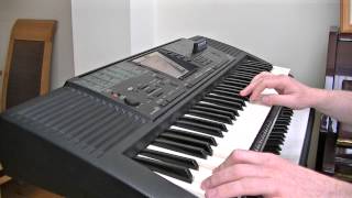 Christy Moore & Sinead O'Connor: "The Mad Lady And Me" 1989 (keyboard cover)