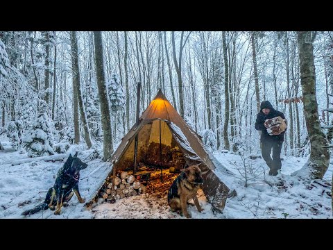 Caught in a Heavy Snowstorm! | Hot Tent Camping with My Dogs
