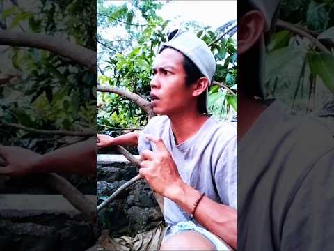 YouTube · funny comedy  — Siap-siap ngakak tanpa dosa! 😄 Konten lucu yang bikin hari-hari kamu lebih ceria!
