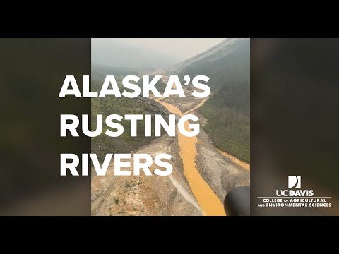 Alaska’s Rusting Waters: Pristine Rivers and Streams Turning Orange | UC Davis