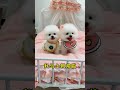Lovely Baby Puppy Short 3959