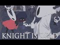 Knight Is Dead Hollow Knight Animation