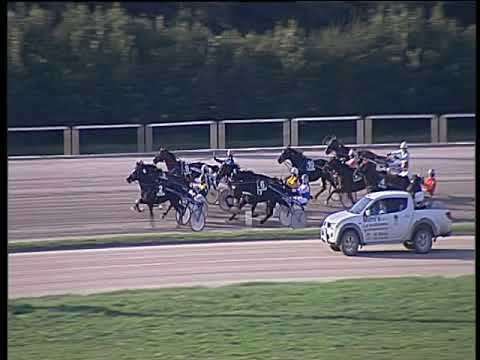 Trotto 15/11/2019 - 1ª corsa