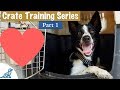 Crate Training Your Puppy DOESN'T Have To Be Stressful!