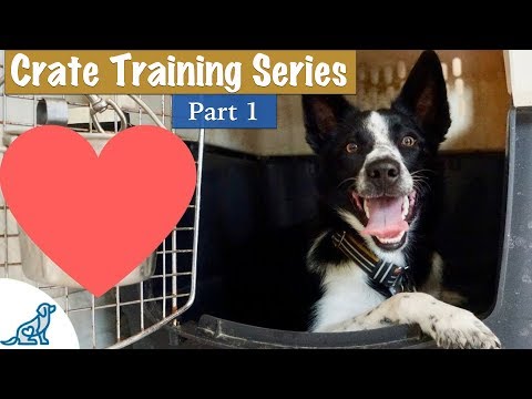 Crate Training Your Puppy DOESN'T Have To Be Stressful!