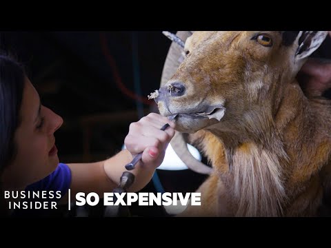 Inside Texas’s $2 Billion Exotic Animal Hunting Industry | So Expensive