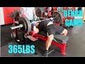 This Is NOT a BODYBUILDING Channel - Race To 405 Bench