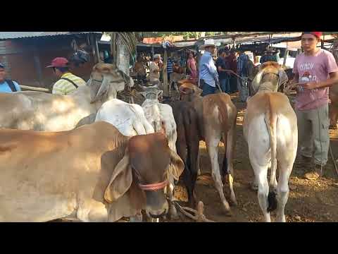 Tiangue de Nueva Guadalupe ,San Migue,l El Salvador, miércoles 13 de mayo 2026 