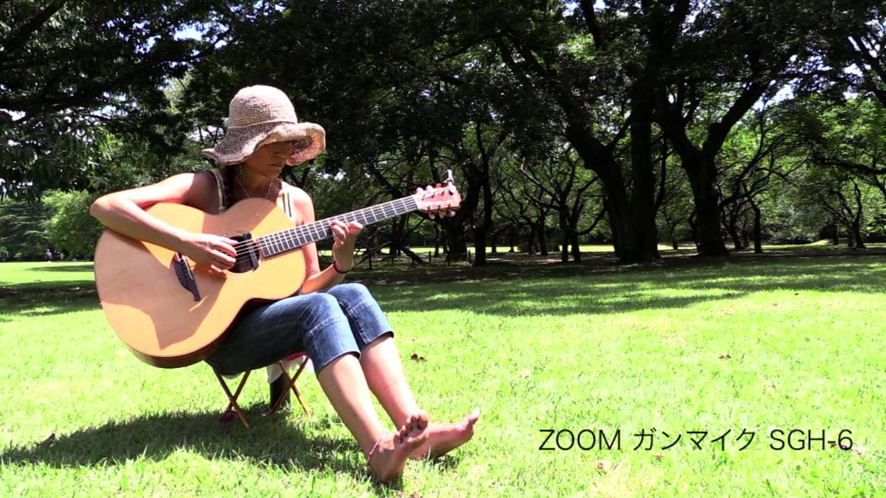 Микрофонный капсюль Zoom SGH-6 типа пушка для H5, H6