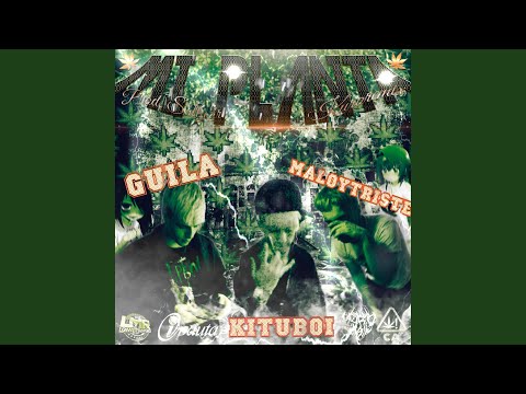 MI PLANTA (KURORemix)