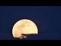 Background Video Bulan Purnama Langit Malam