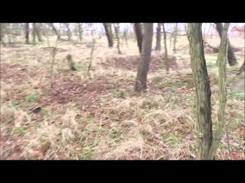 WW2 Relikte Teil 142 : Schützengräben und Stellungen östlich von Berlin in einem Waldstück (WK2)